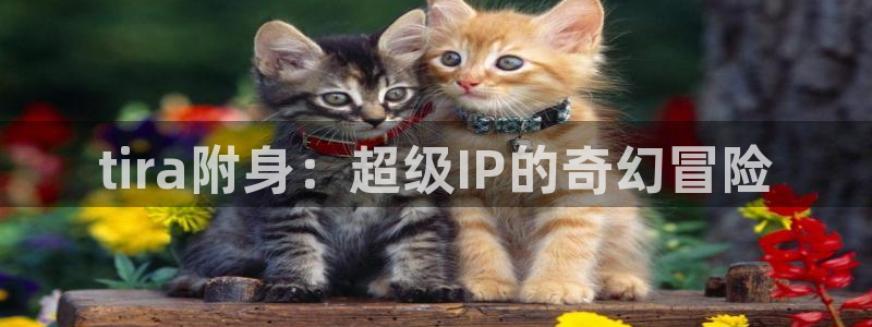 韩漫网免费阅读看漫画下拉：tira附身：超级IP的奇幻冒险