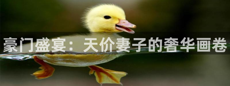 韩漫漫画免费大全：豪门盛宴：天价妻子的奢华画卷