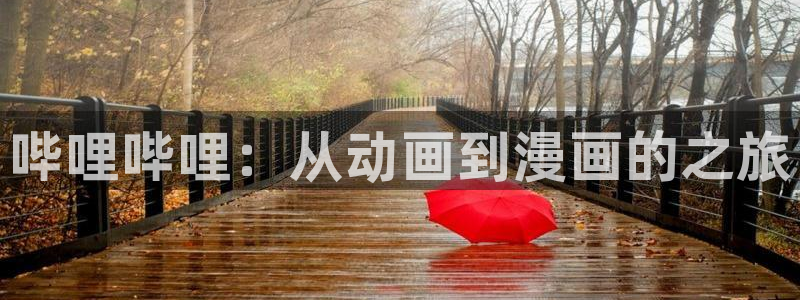 好看的韩漫漫画画免费画漫画大全：哔哩哔哩：从动画到漫画的之旅