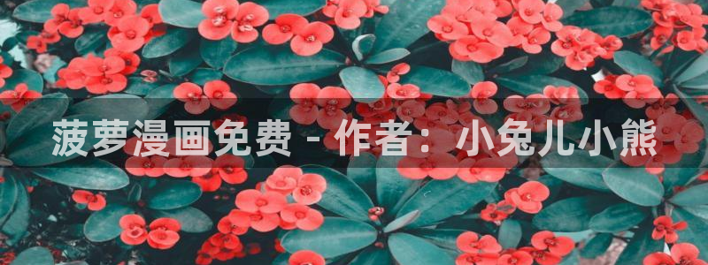 韩漫av在线观看：菠萝漫画免费 - 作者：小兔儿小熊
